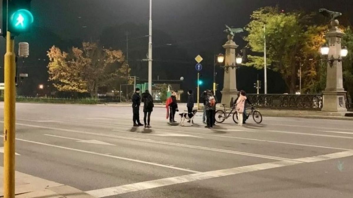 Димчев: Народът окупира Орлов мост – 9 човека и едно куче СНИМКА