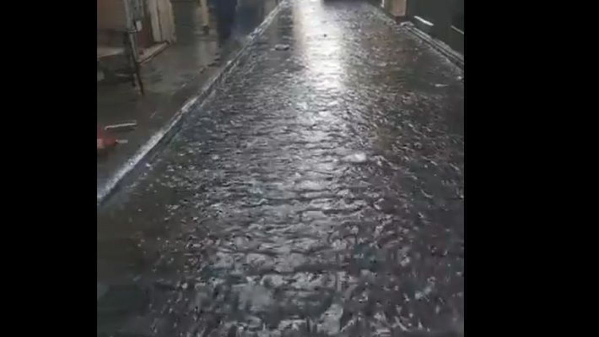 Цунами и на гръцкия остров Самос след убийствения трус ВИДЕО