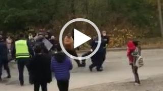 Бесен екшън между подивели цигани и полиция в Перник, женски писъци огласиха града ВИДЕО