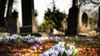 Знаете ли какво е Герман, нека ви разкажем