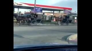 Уникално ВИДЕО: Амишите с карети също гласуват за Тръмп