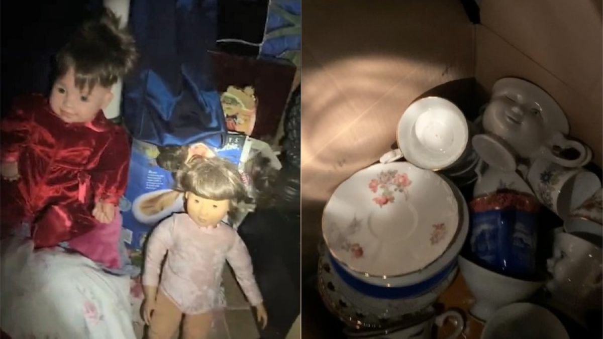 Жена откри тайно помещение в къщата си и закрещя от ужас, като видя какво има там ВИДЕО