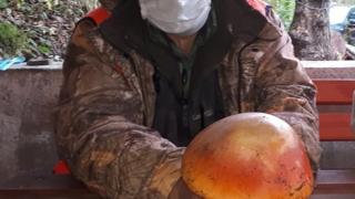 Авджия от Родопите се натъкна на рядък гигант в гората СНИМКА
