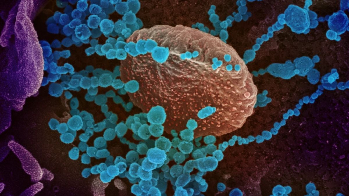 Този ефективен метод убива К-19 от повърхностите за по-малко от 3 минути 