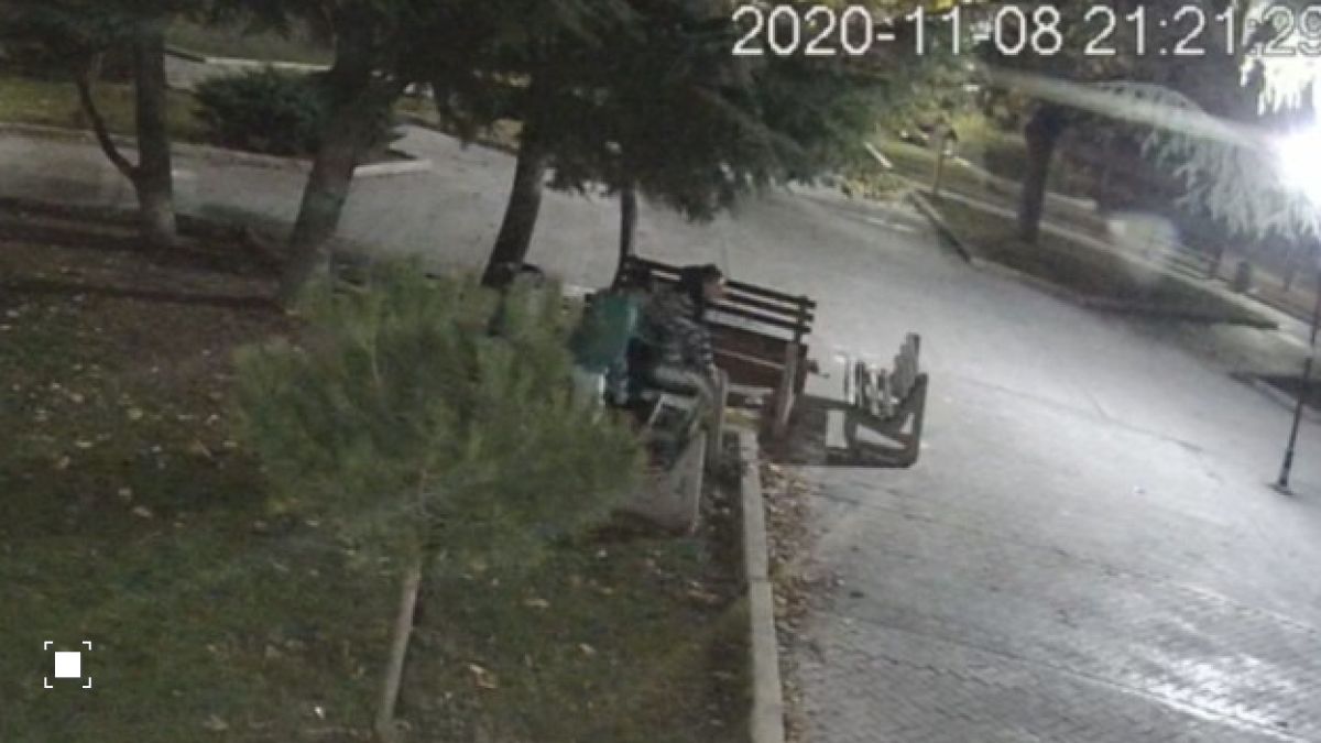 Камера засне диваци в бургаски парк