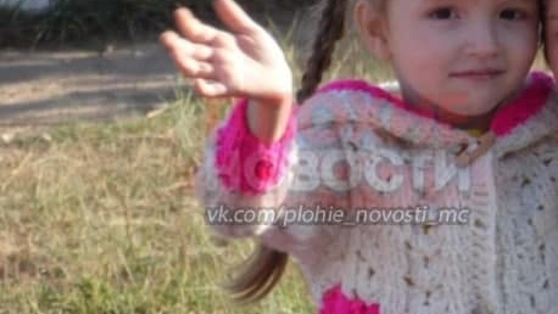 Домашно куче разкъса малко момиченце 