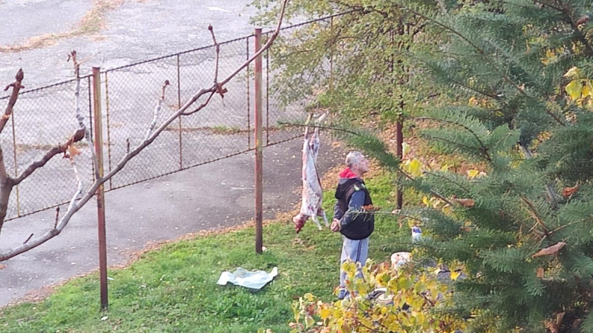 Ужасия: Мъж увеси на дърво окървавен труп до игрище с деца