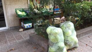 Любителите на киселото зеле са разтърсени от тази новина