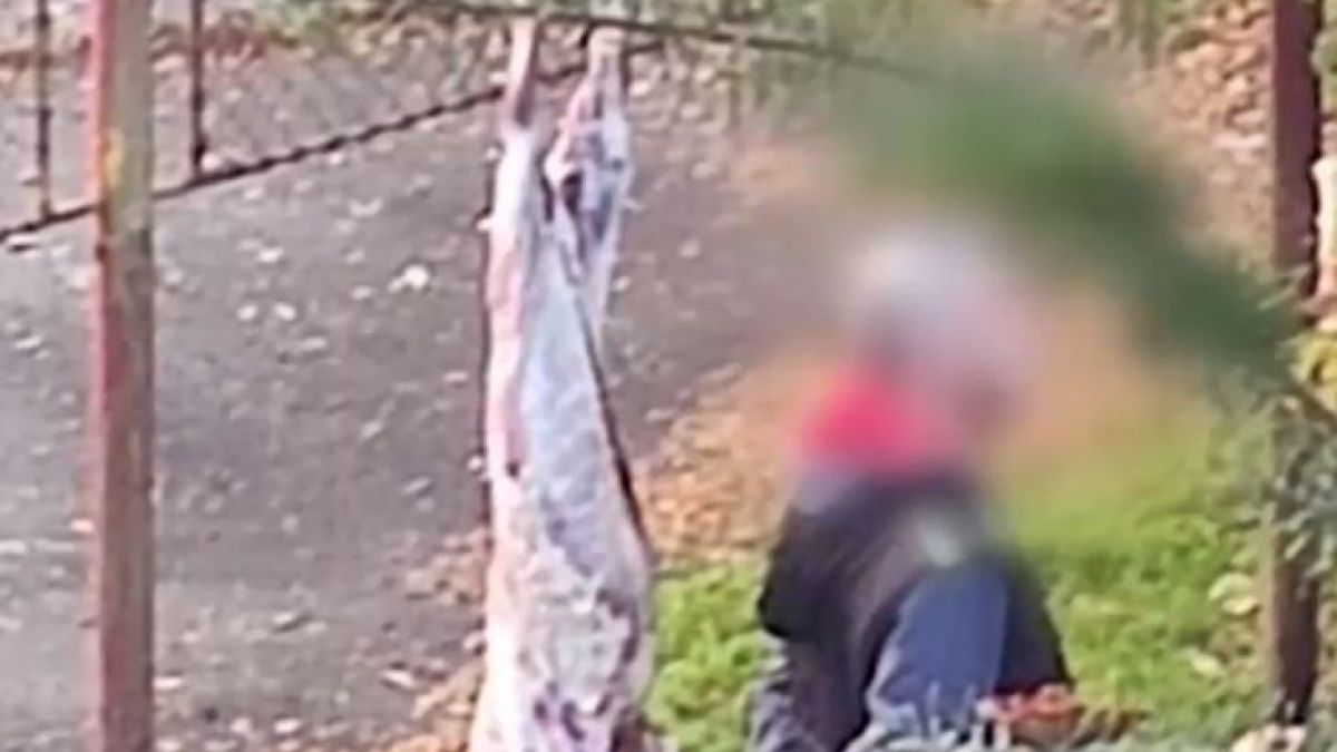 Кърваво жертвоприношение пред деца в кв. "Мусагеница" взриви нета ВИДЕО