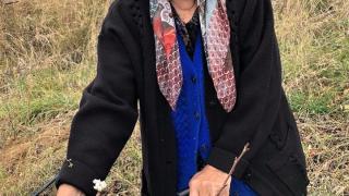 Странна природна аномалия насред ноември шашна хората в Родопите СНИМКА