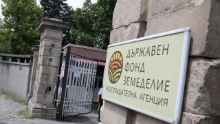 Изтича срокът за заявления за държавна помощ заради загуби от бедствия