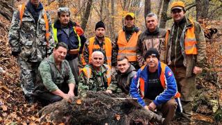 Слука: Ловец повали с 1 изстрел 200-килограмов звяр в Родопите СНИМКА