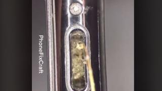ВИДЕО показа нагледно колко много мръсотия има в нашите мобилни устройства