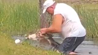 Кученце попадна в челюстите на алигатор, но последвалото ще ви остави без думи ВИДЕО
