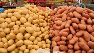 Въртят голяма шашма с вносните картофи от борсата до магазина
