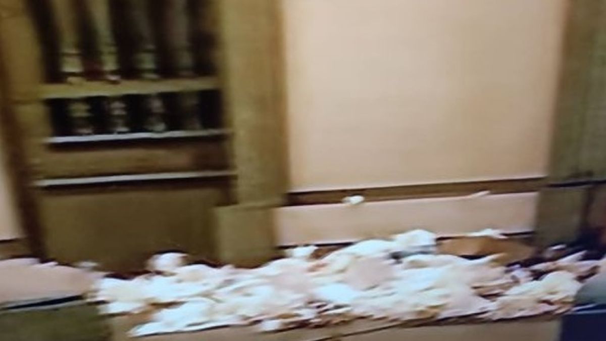 Протестъри освиниха центъра на столицата, гневни софиянци ги нападнаха, полиция се намеси