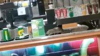 Шок: Огромен плъх заснеха в известно столично заведение ВИДЕО