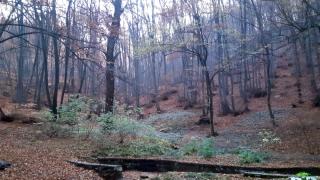 НИМХ с прогноза за огромни амплитуди в температурите и колко ще вали през октомври   