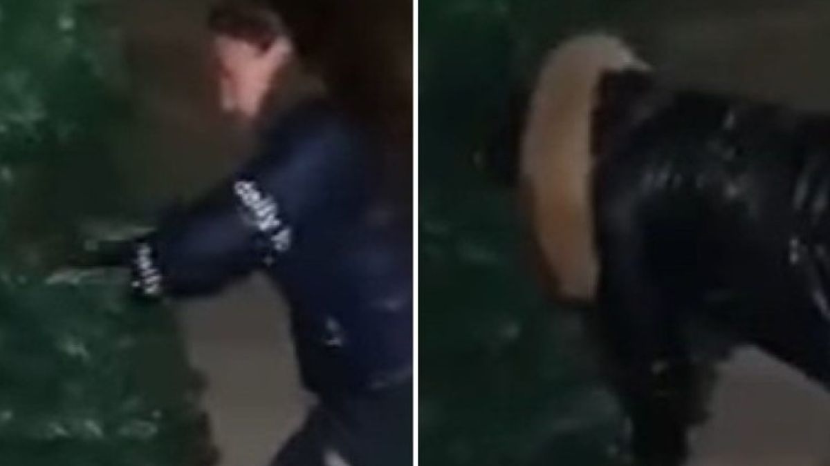 Какви ги вършат? Момичета се навряха под елхата в Роман и вбесиха кмета ВИДЕО