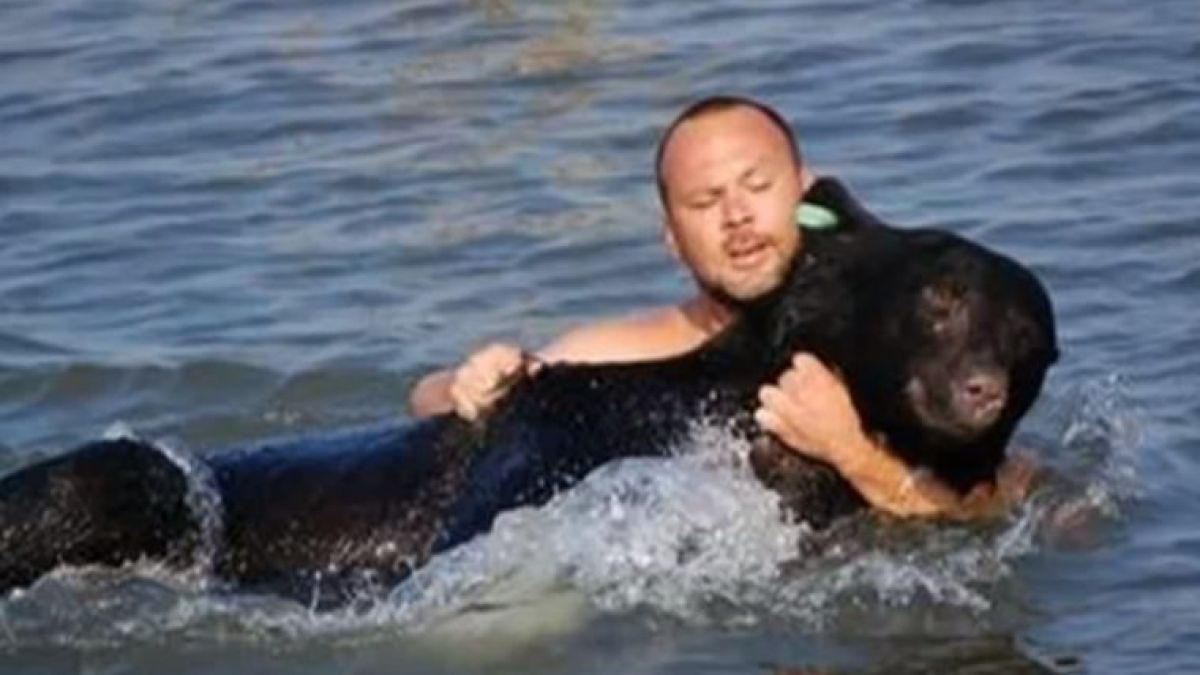  Мъж се метна във водата и спаси от удавяне 200-килограмова мечка ВИДЕО