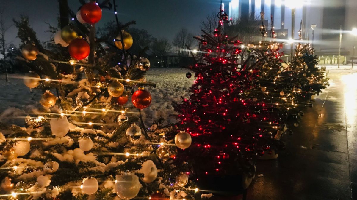Елхите на таланта грейнаха в центъра на София