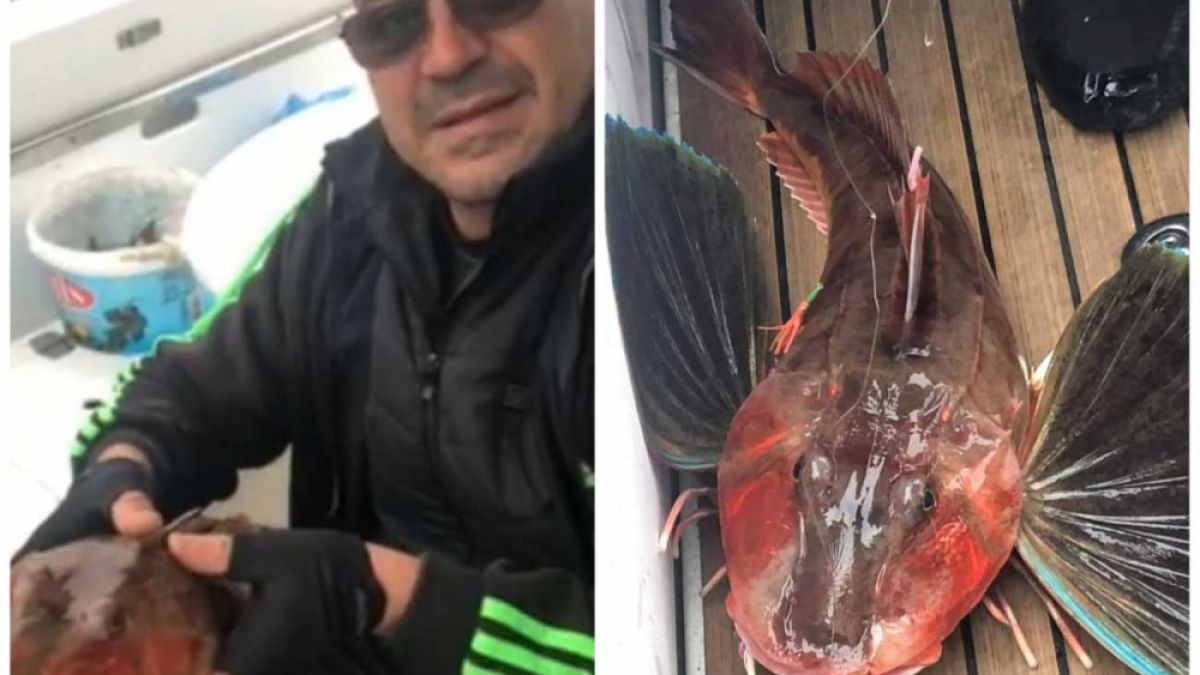 Бургаски бизнесмен изпадна в потрес като видя какво е уловил ВИДЕО 