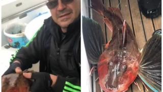 Бургаски бизнесмен изпадна в потрес като видя какво е уловил ВИДЕО 