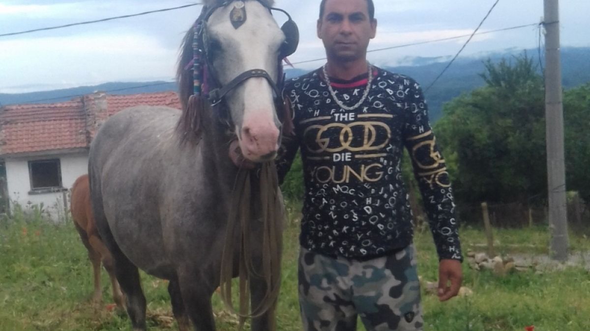 Куриоз! Цигани от Звездец откраднаха 250 кг месо, но се прецакаха жестоко СНИМКИ