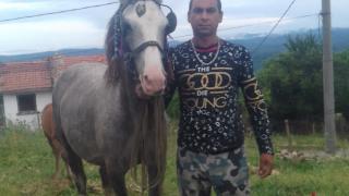 Куриоз! Цигани от Звездец откраднаха 250 кг месо, но се прецакаха жестоко СНИМКИ
