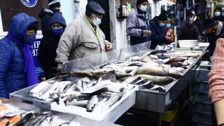 Такава евтиния не е имало от години на рибната борса в Бургас
