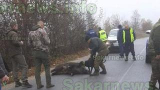 Екшън с ловджии от две дружинки и глиган СНИМКА