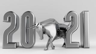 7 неща, които не бива да правите през 2021-ва - годината на волa