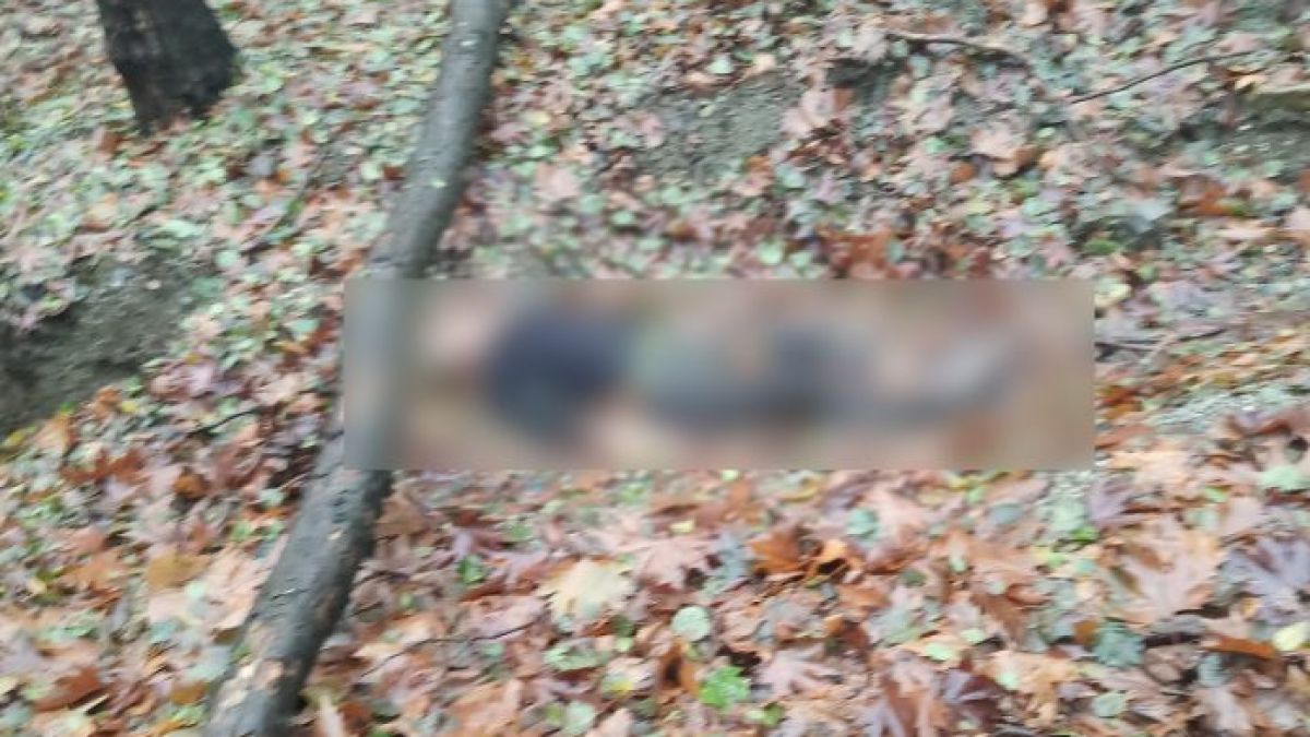 Асеновградчанин се вцепени от зловеща находка в Аман дере СНИМКА 18+
