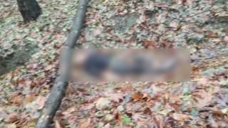 Стана ясно кой е намерен мъртъв в Арман дере до Асеновград