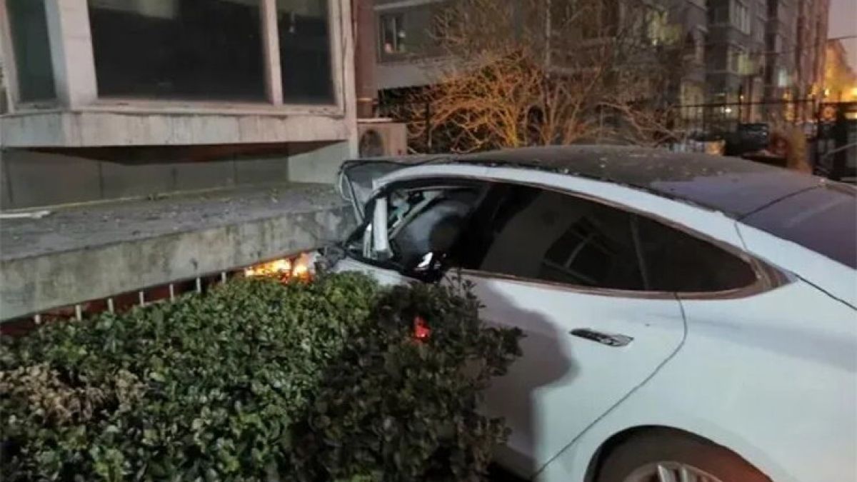 Tesla се опита да убие шофьор, наложи му се да се прави на каскадьор СНИМКИ