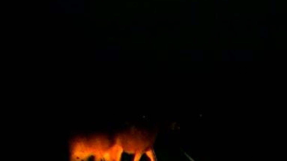 За този инцидент с кон и кола край Долна баня ще се говори дълго ВИДЕО