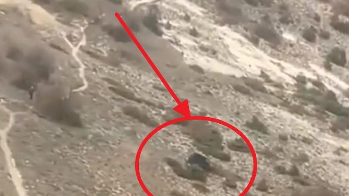 Джип с дете полетя от скала! Случайни туристи го записаха на ВИДЕО