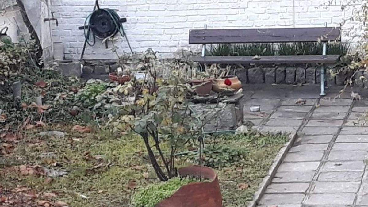 Уникален природен феномен в края на декември шашардиса пловдивчани СНИМКИ 