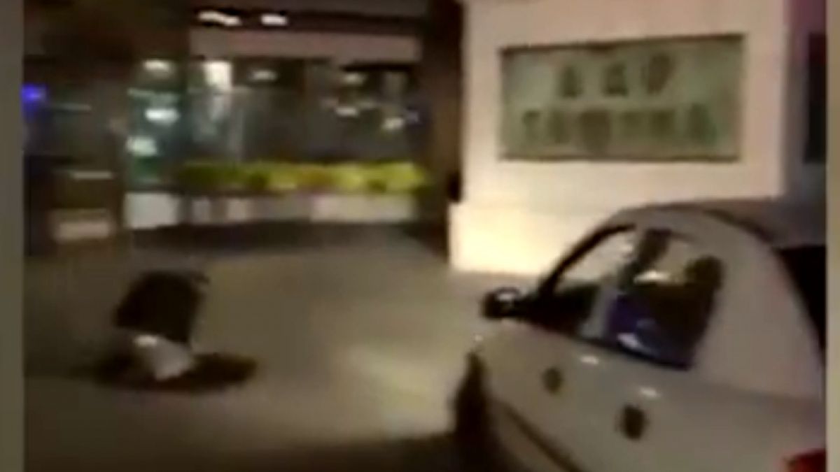 Пиян македонец се моли и кръсти пред цар Самуил, арестуваха го ВИДЕО