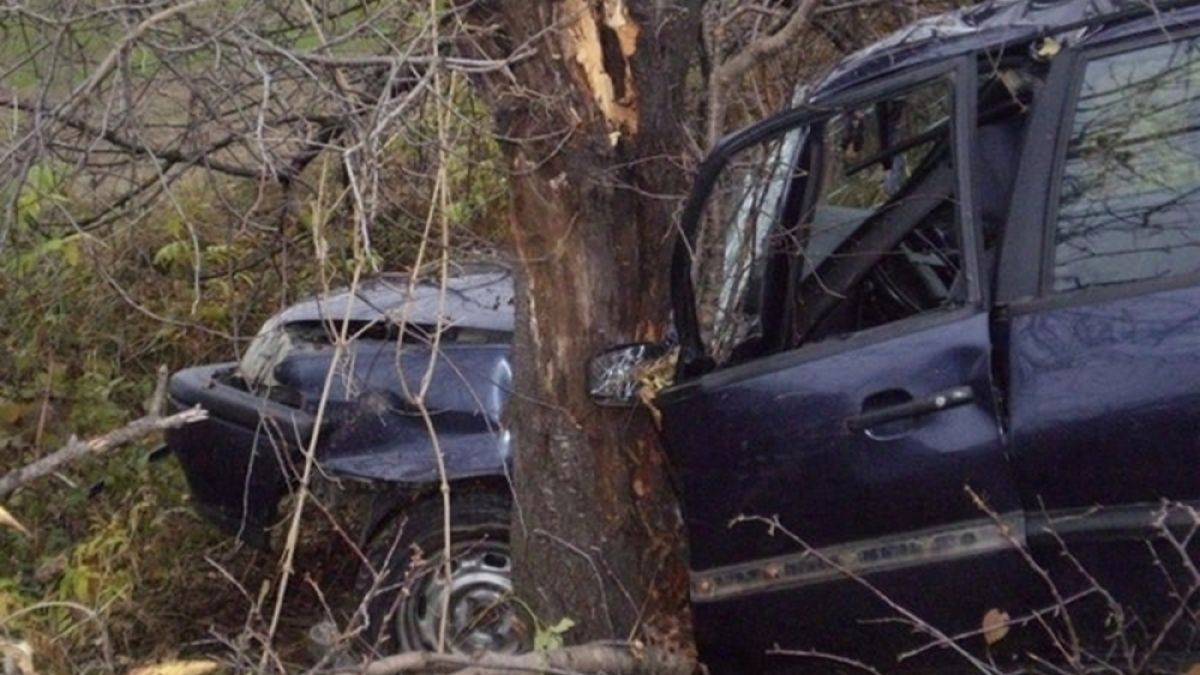 Трагедията е огромна! 47-г. Славчо е загиналият край с. Пънчево, остави 3 сестри сирачета