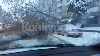 Среднощен ужас! Изневиделица в центъра на Видин... СНИМКИ