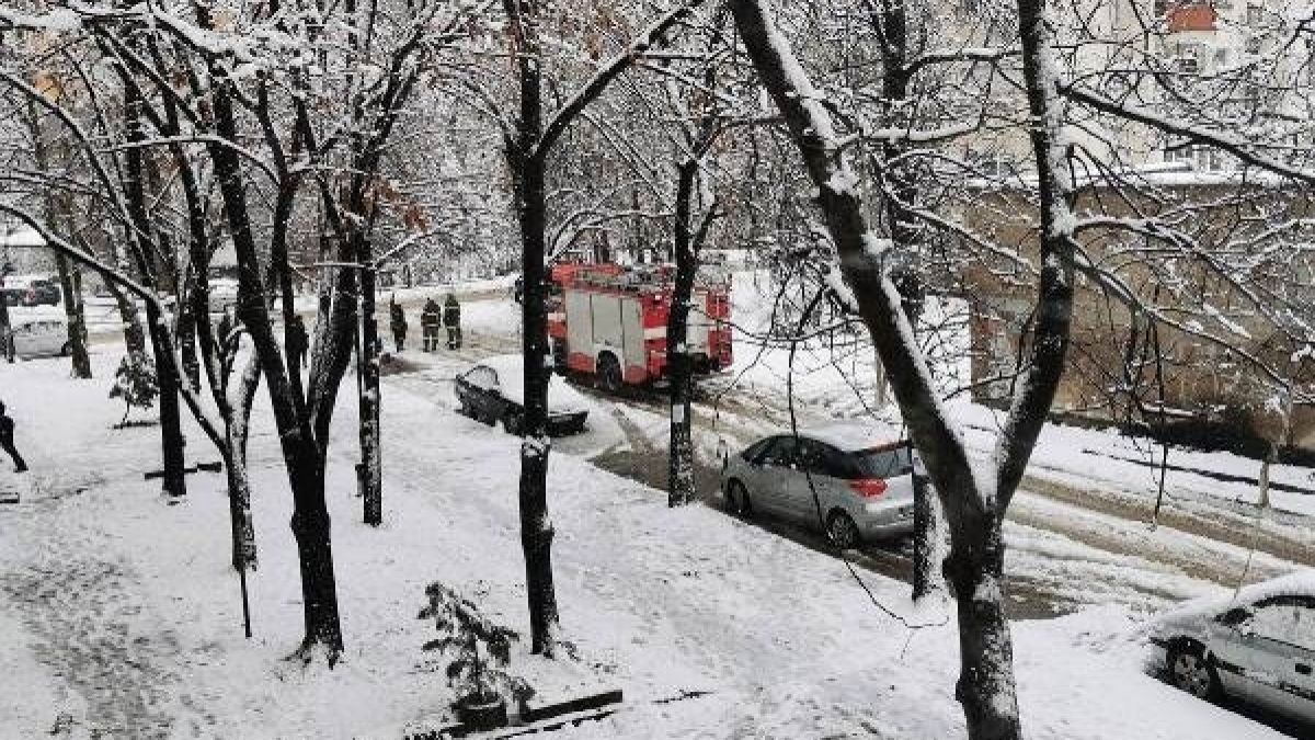 Снежен ад във Видин, изпочупени са дървета и стълбове СНИМКИ