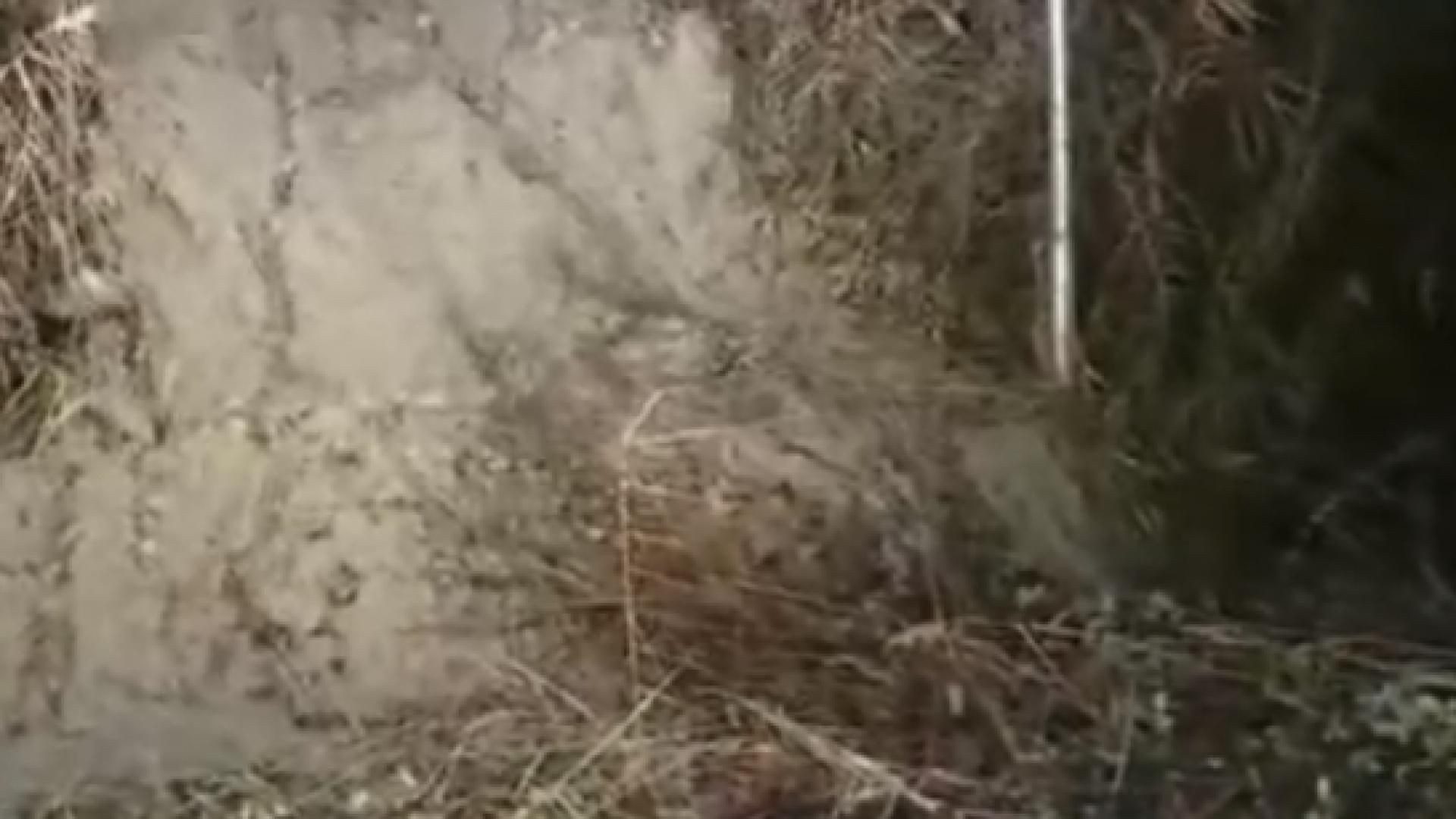 Кошмарна новина след валежите във Варна 