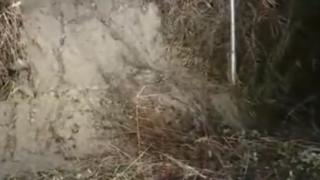 Кошмарна новина след валежите във Варна 