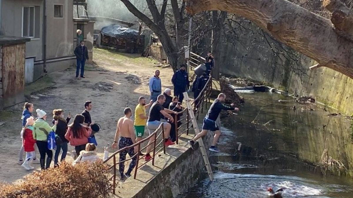 Младоженци се хвърлиха в ледена река в Перущица
