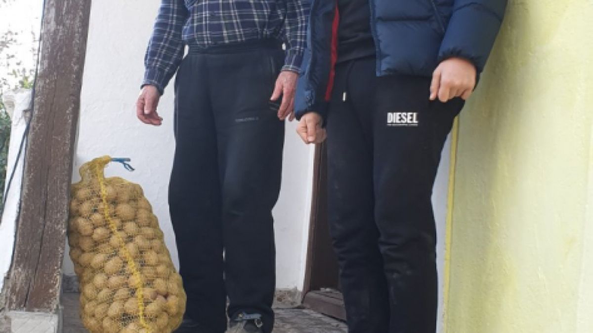 Фирми изкупуват картофи и ги даряват