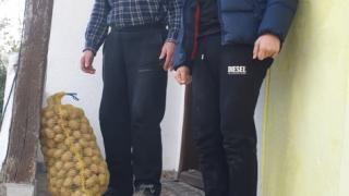 Фирми изкупуват картофи и ги даряват