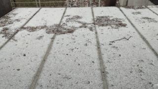 Голям Сечко си показа рогата! Суграшица и градушка удариха София ВИДЕО