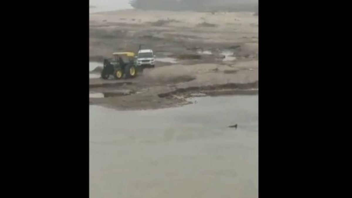  Уникално ВИДЕО: Полицейско преследване разсмя милиони в мрежата
