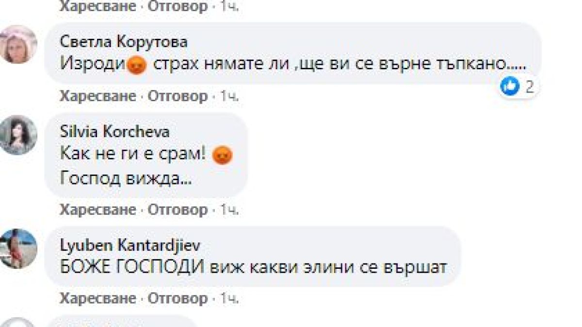 Чудовищна жестокост към бездомни кучета в Родопите взриви мрежата СНИМКИ 18+